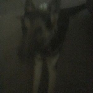 Meet your Posher, Jeremy